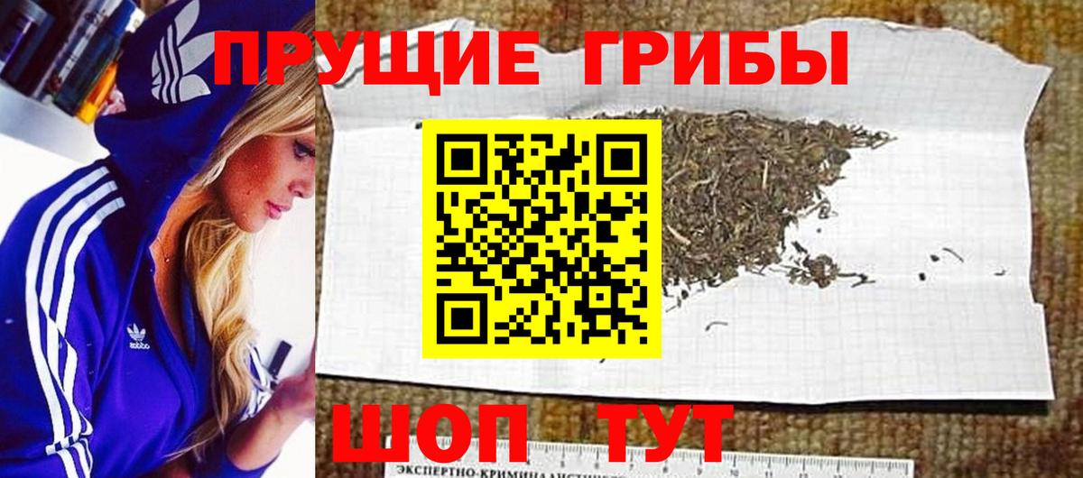 Коломна  Галлюциногенные грибы мицелий  Вход с VPN  Псилоцибиновые грибы ЛСД 
